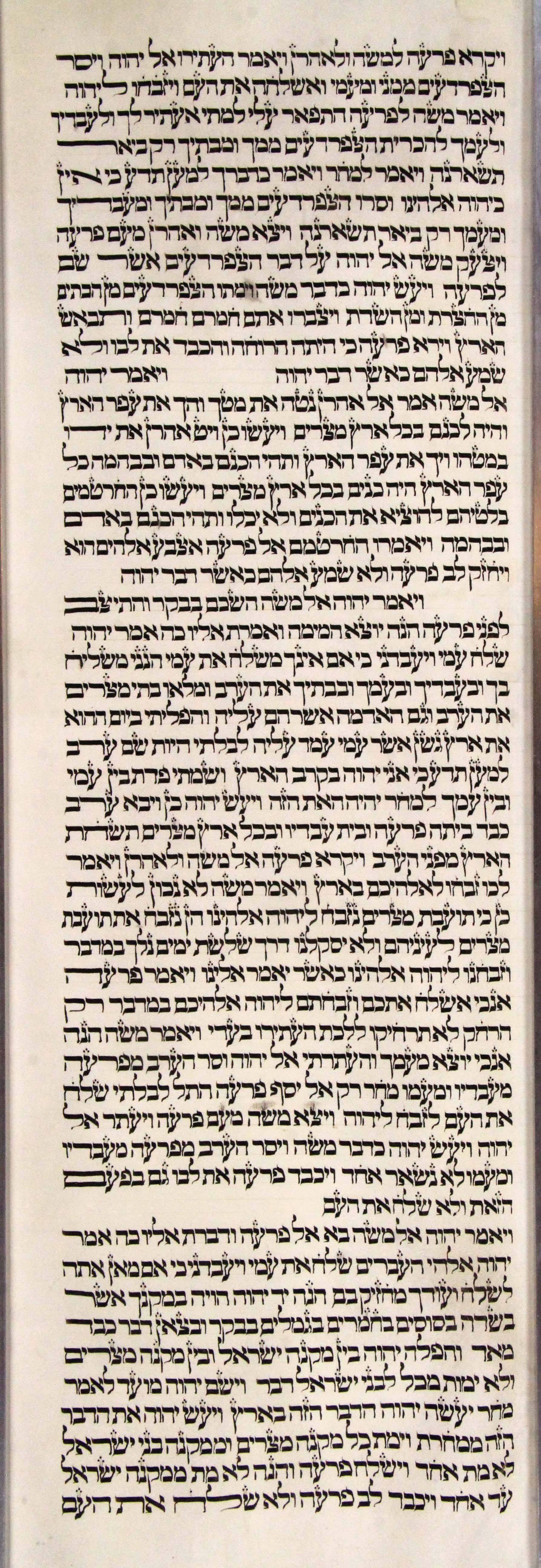 Torah Sheet 15 Column 1 Exodus 8:4 through 9:7 s15c1-Exodus_8-4_to_9-7