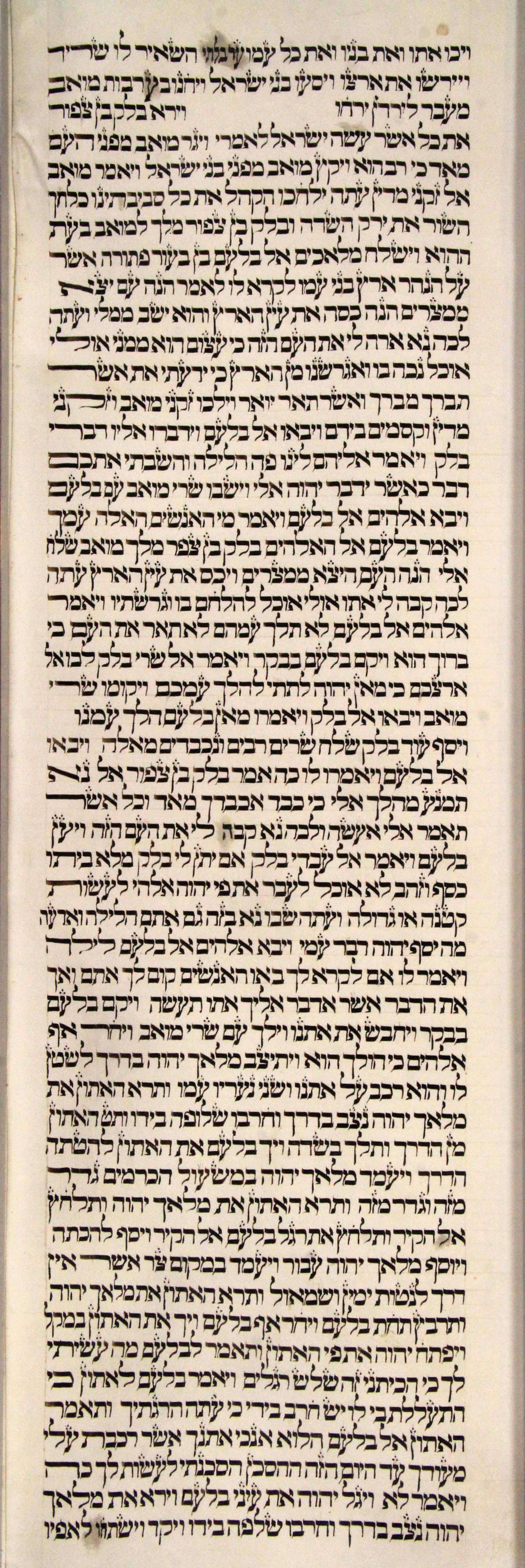 Torah Sheet 38 Column 3 Numbers 21 :35 through 22:31 s38c3-Numbers_21-35_to_22-31