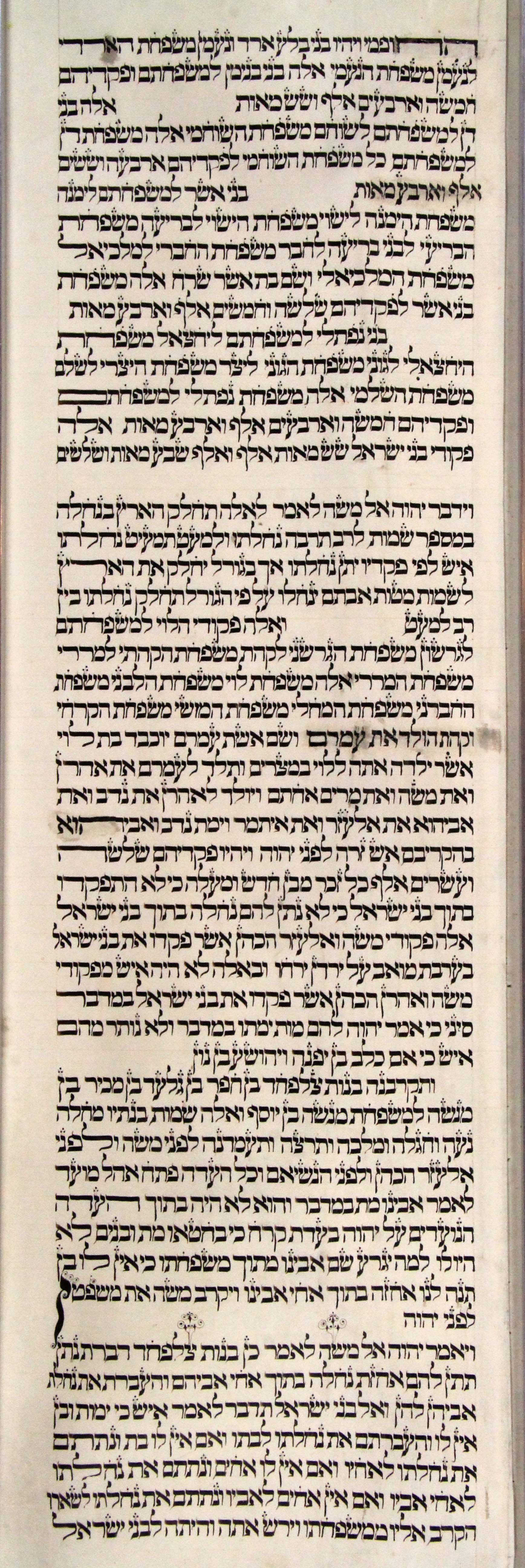 Torah Sheet 40 Column 1 Numbers 26:39e through 27:11c s40c1-Numbers_26-39e_to_27-11c